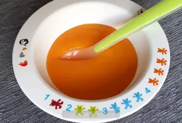 Receita fácil de creme cenoura bebe